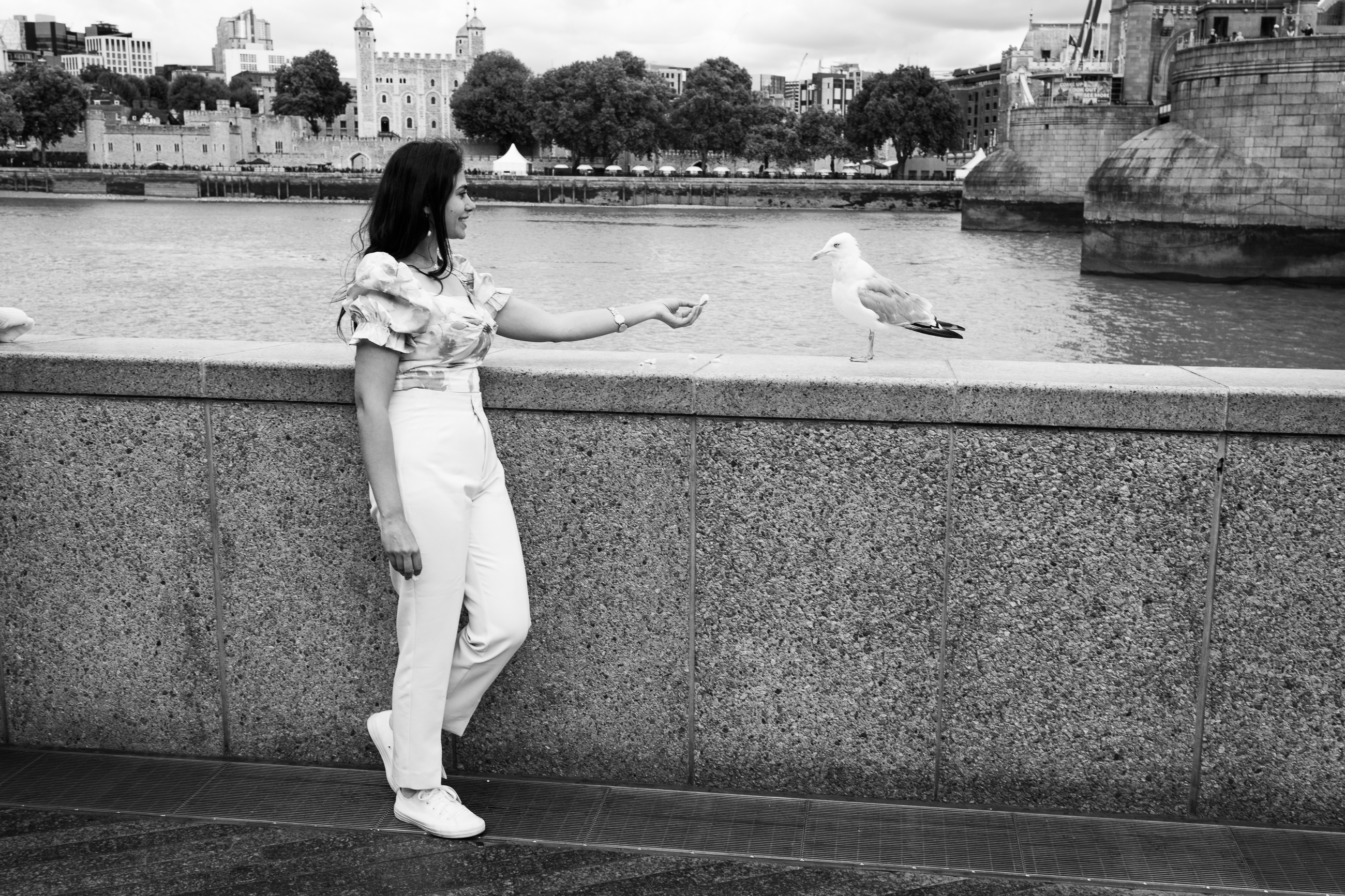A smartly dressed lady stood by a wall overlooking the River Thames in London offers a seagull some bread. Out of shot, she is recorded by two video cameras. 